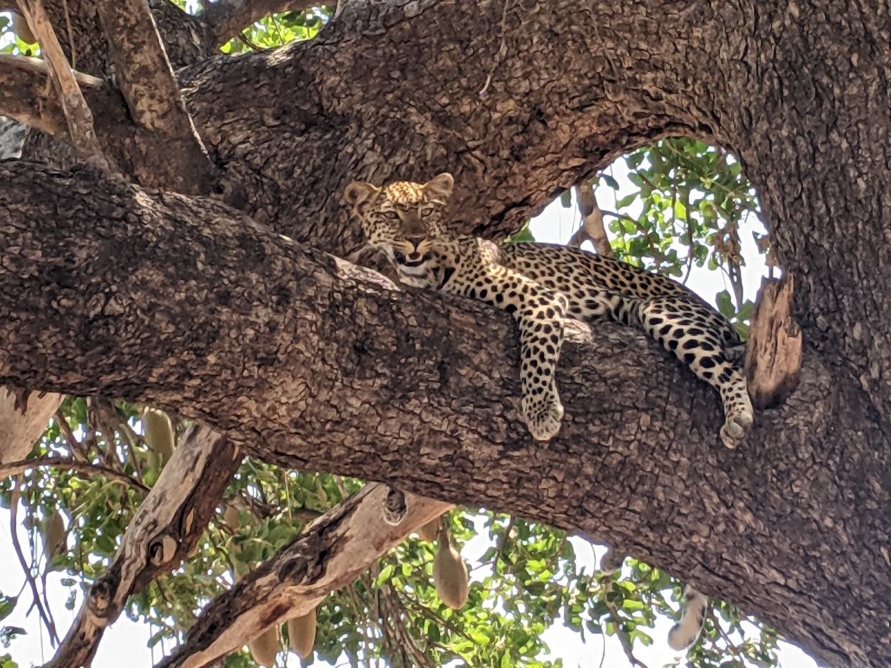 Boat on Lake Kivu at sunset
