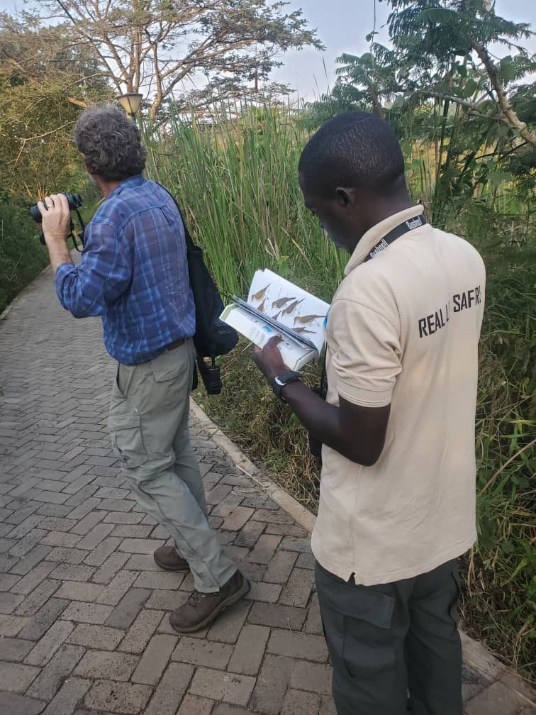 Top Birding Spots in Rwanda