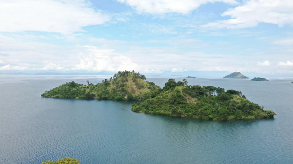 Nyungwe Forest