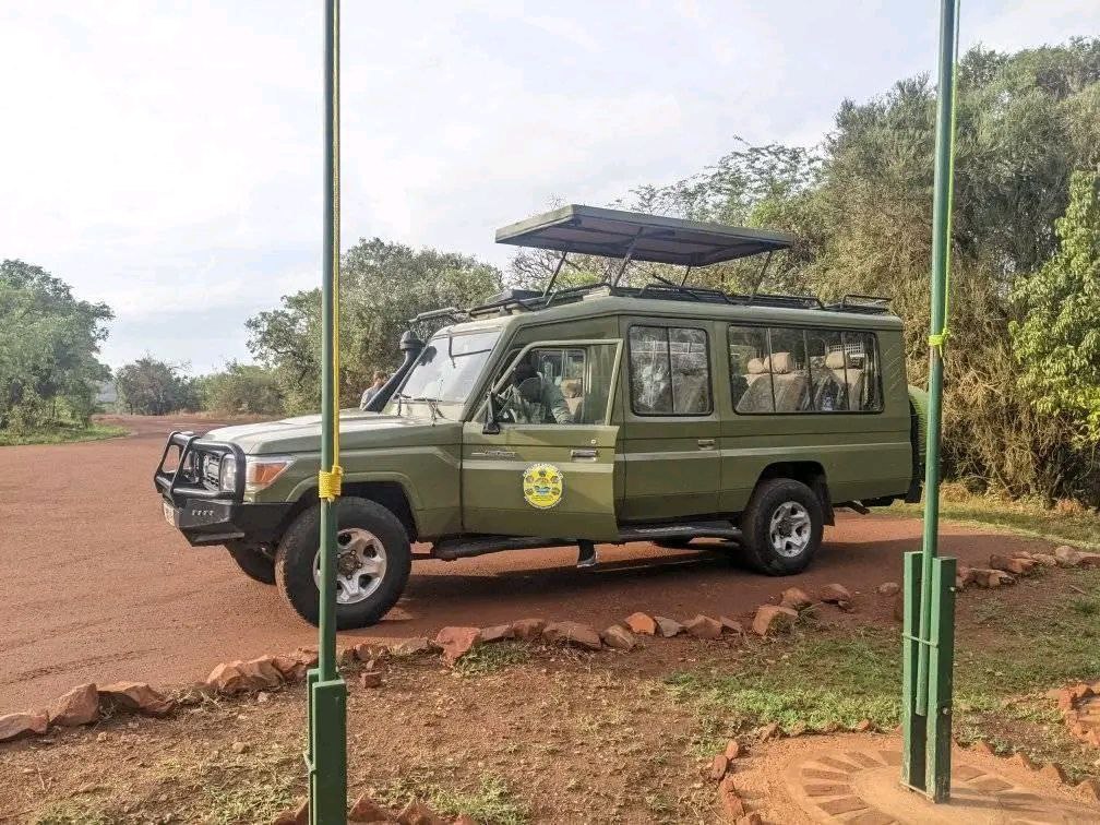 Safari moment