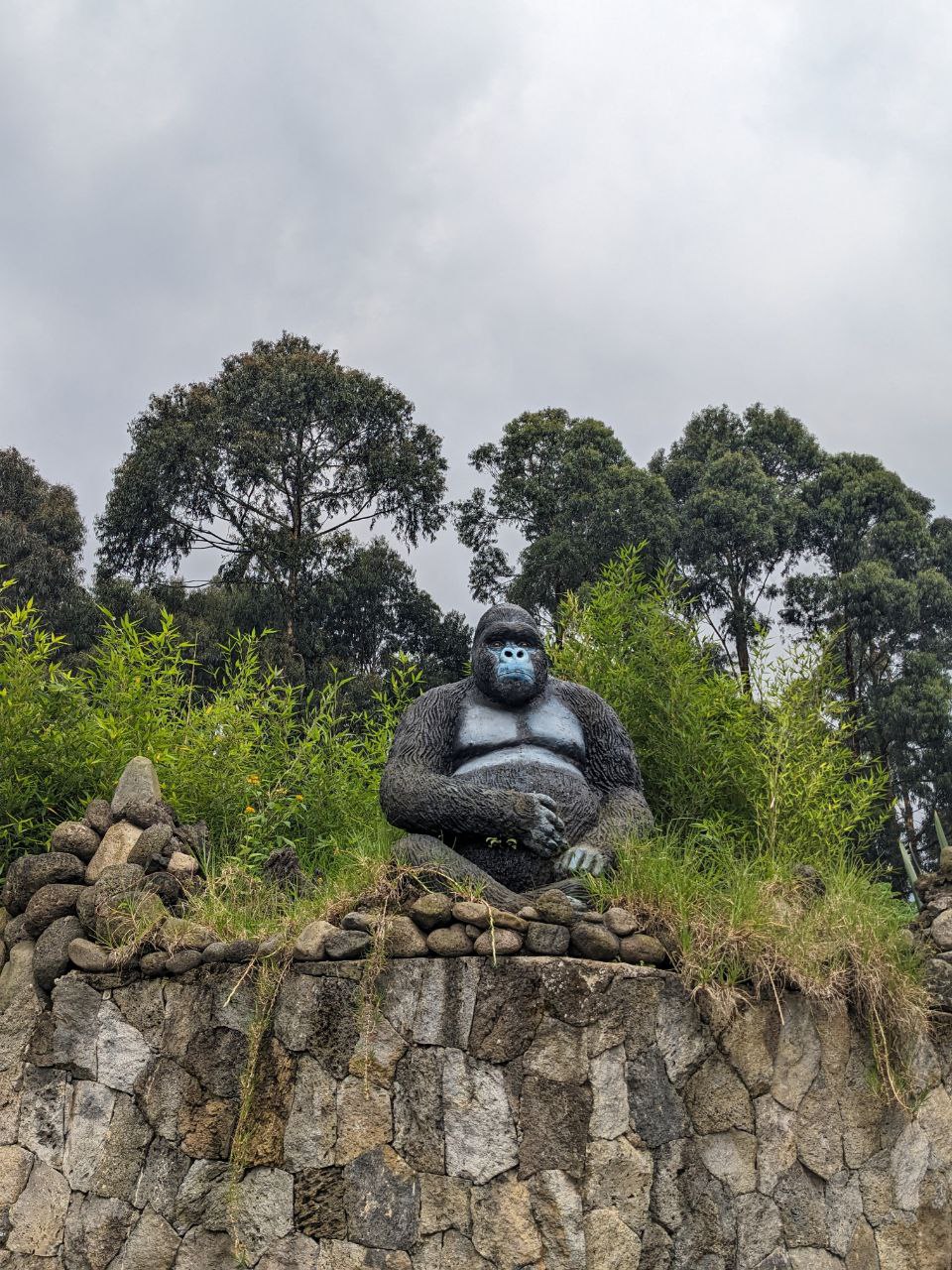 Safari moment