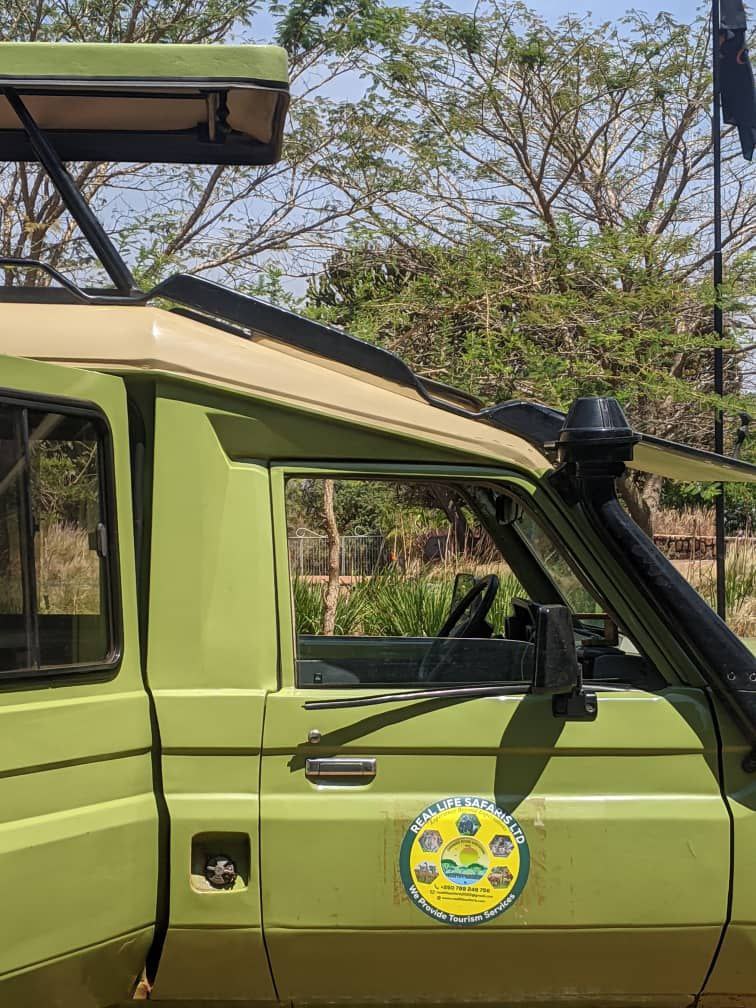 Safari moment