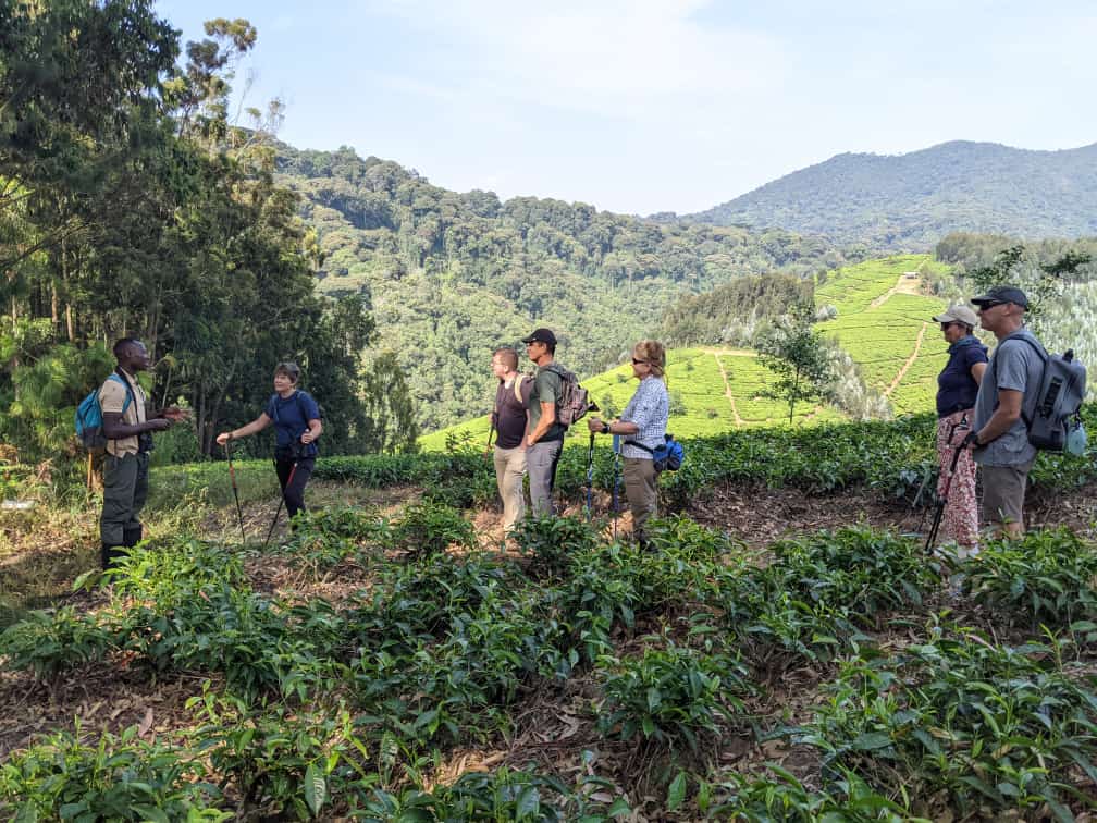 Mount Jali (Hiking)