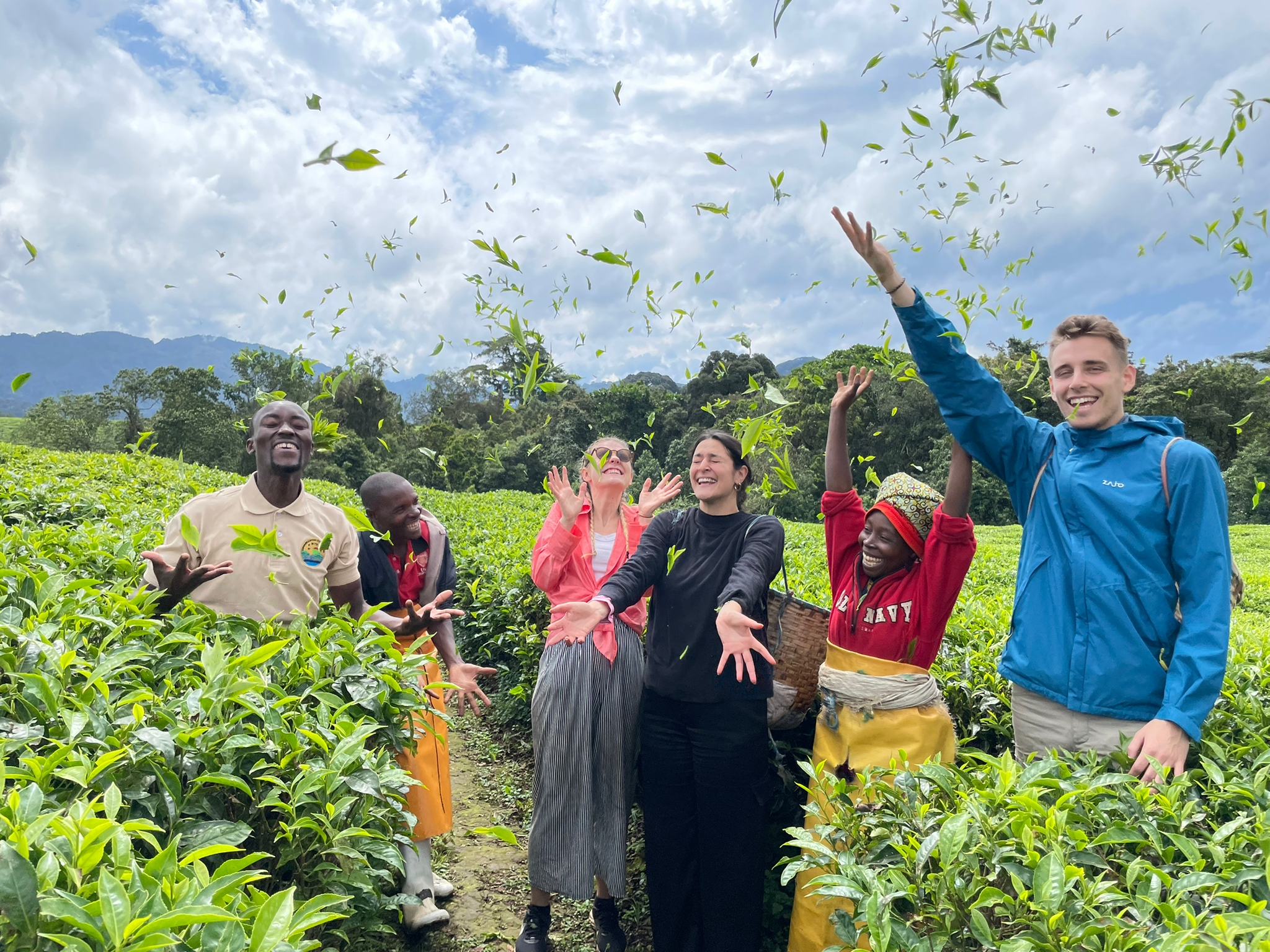 Golden savannah landscape