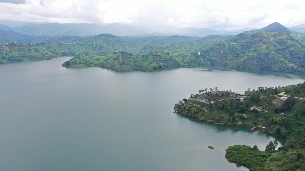 Nyungwe Canopy & Chimp Trek