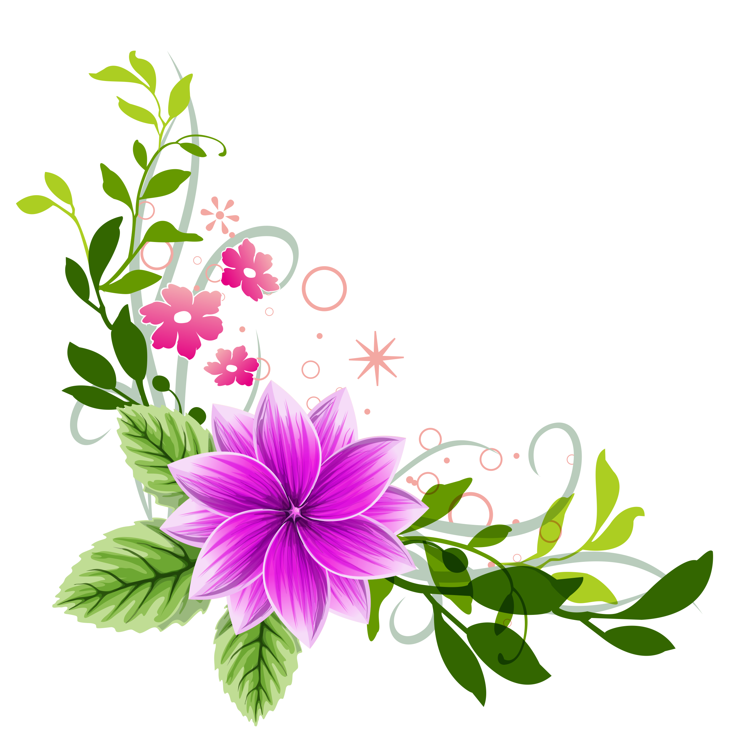 test dest