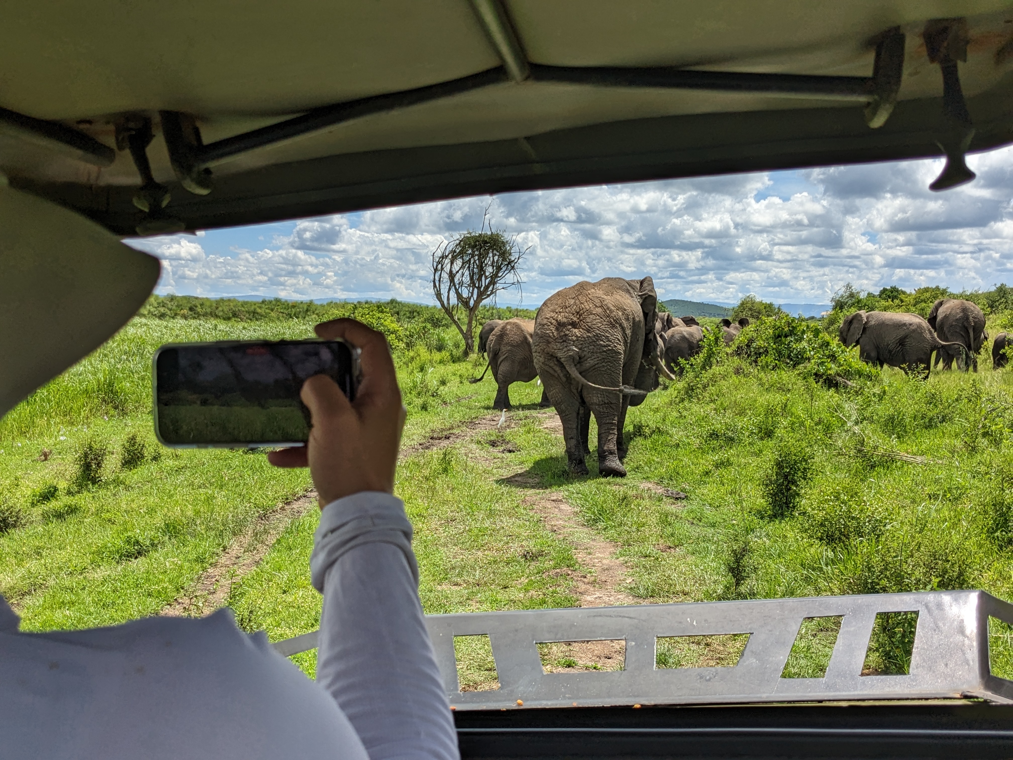 Akagera National Park