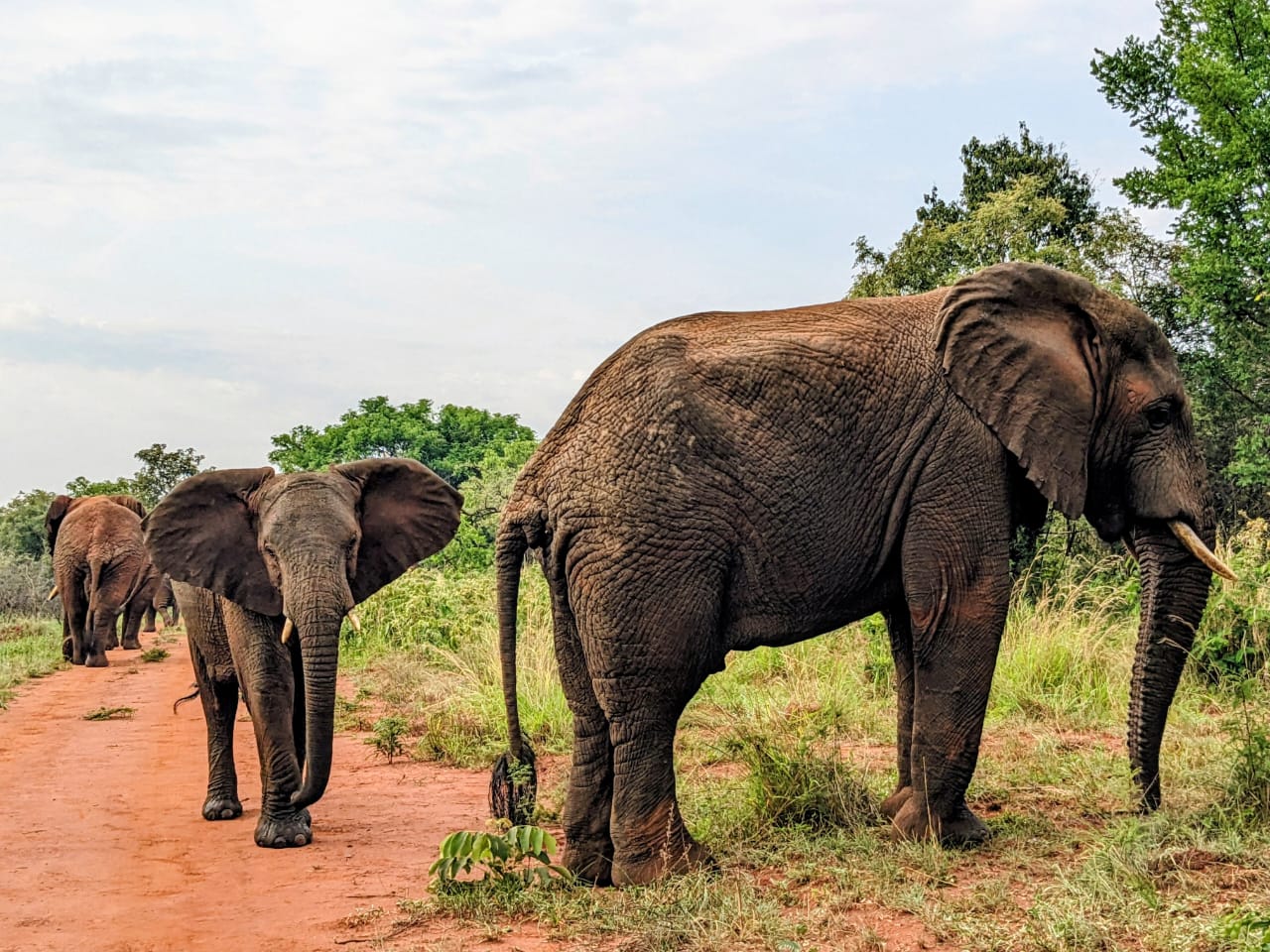 Akagera National Park