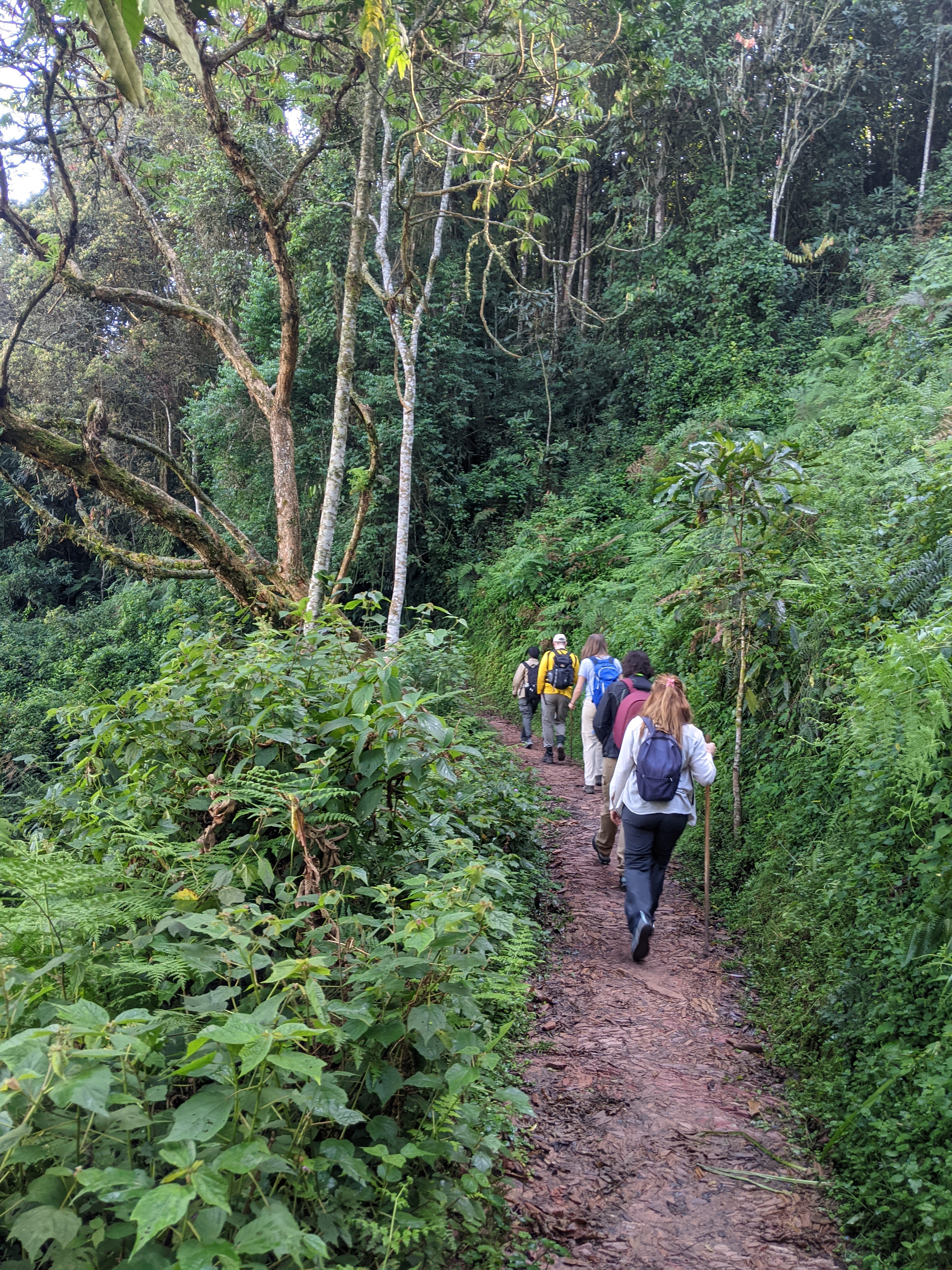 Hiking Mount Jali