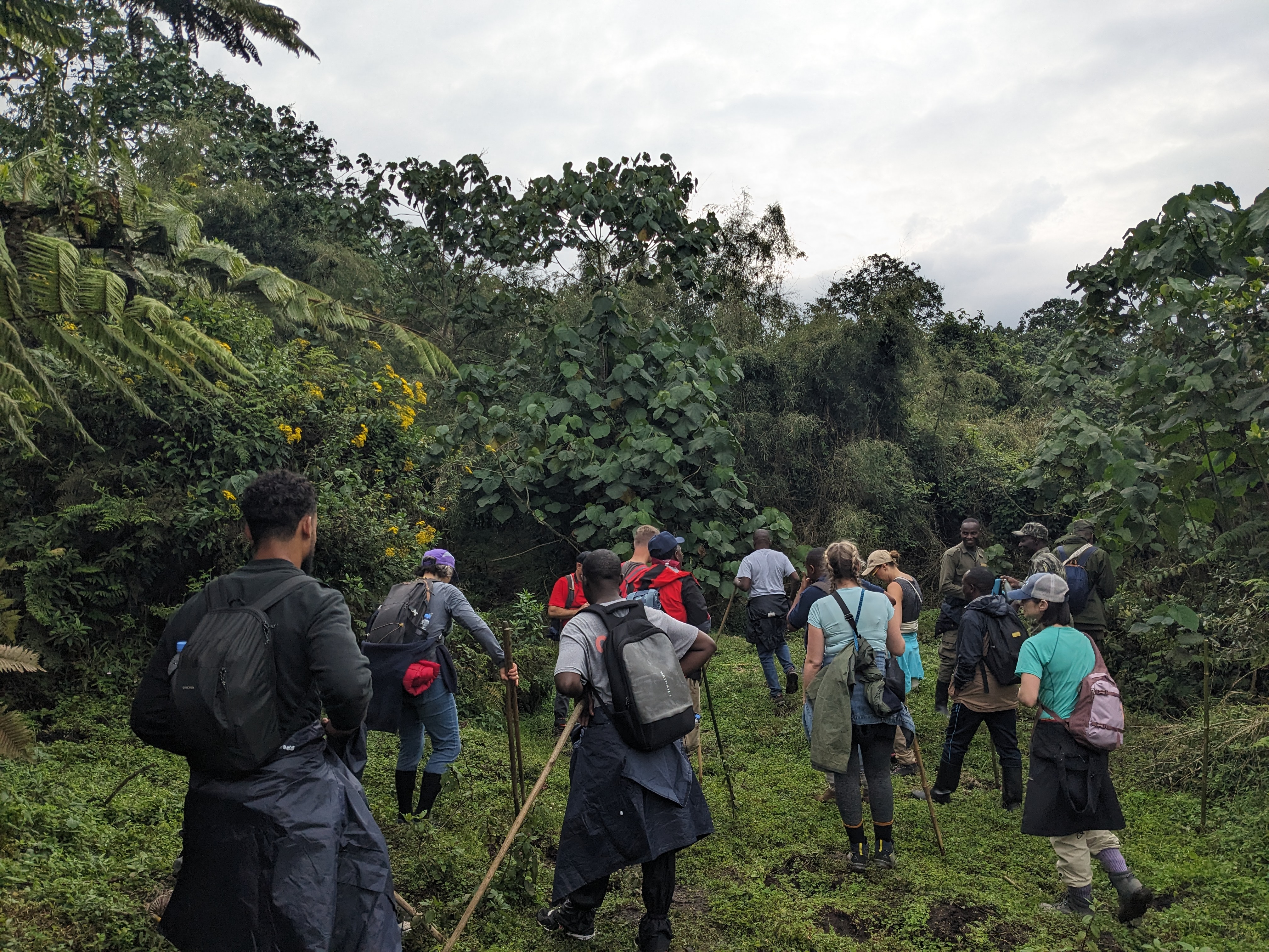 THINGS TO KNOW BEFORE VISITING NYUNGWE NATIONAL PARK WITH US !