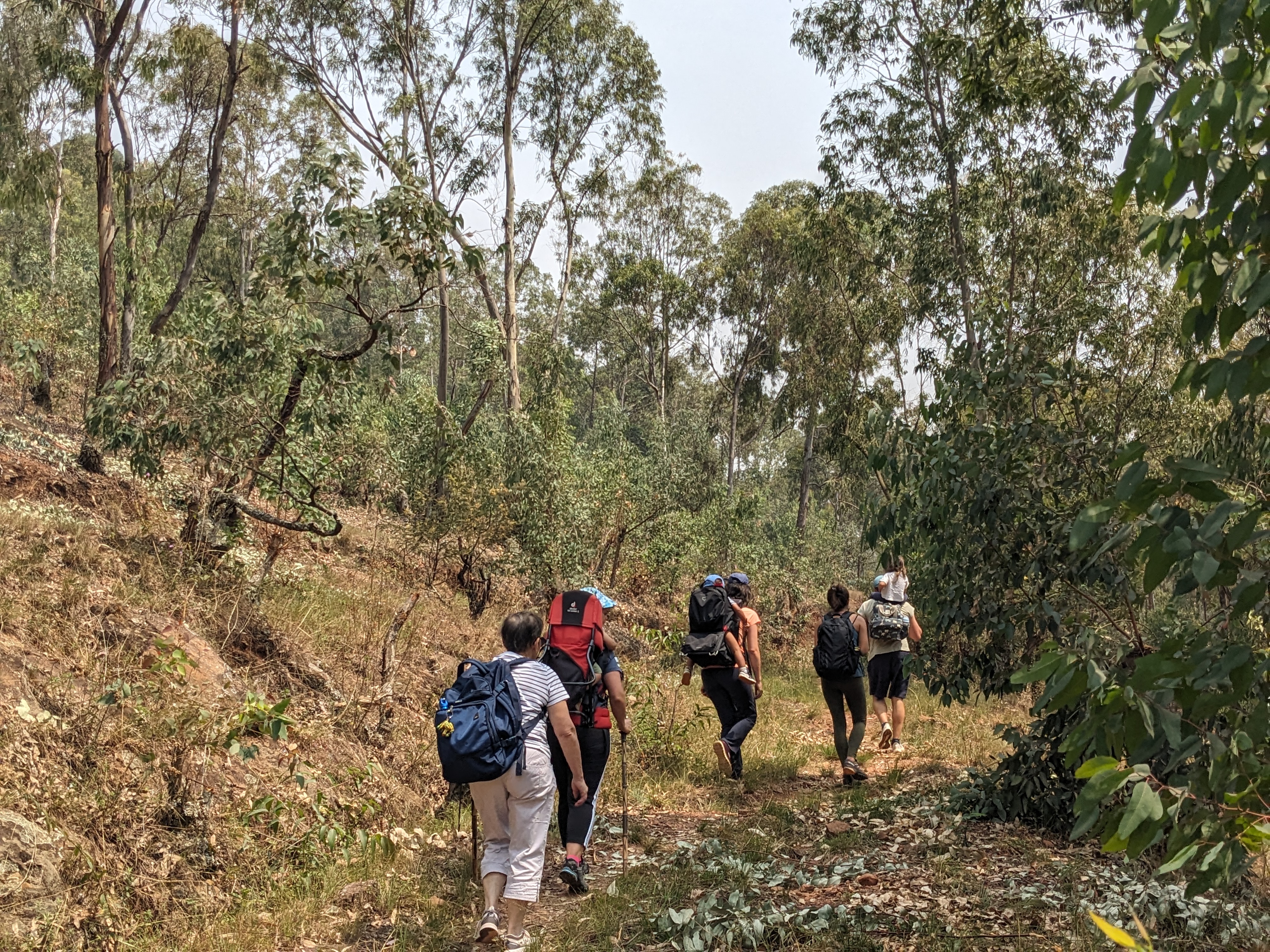 Hiking Mount Jali ( the highest point of Kigali city)