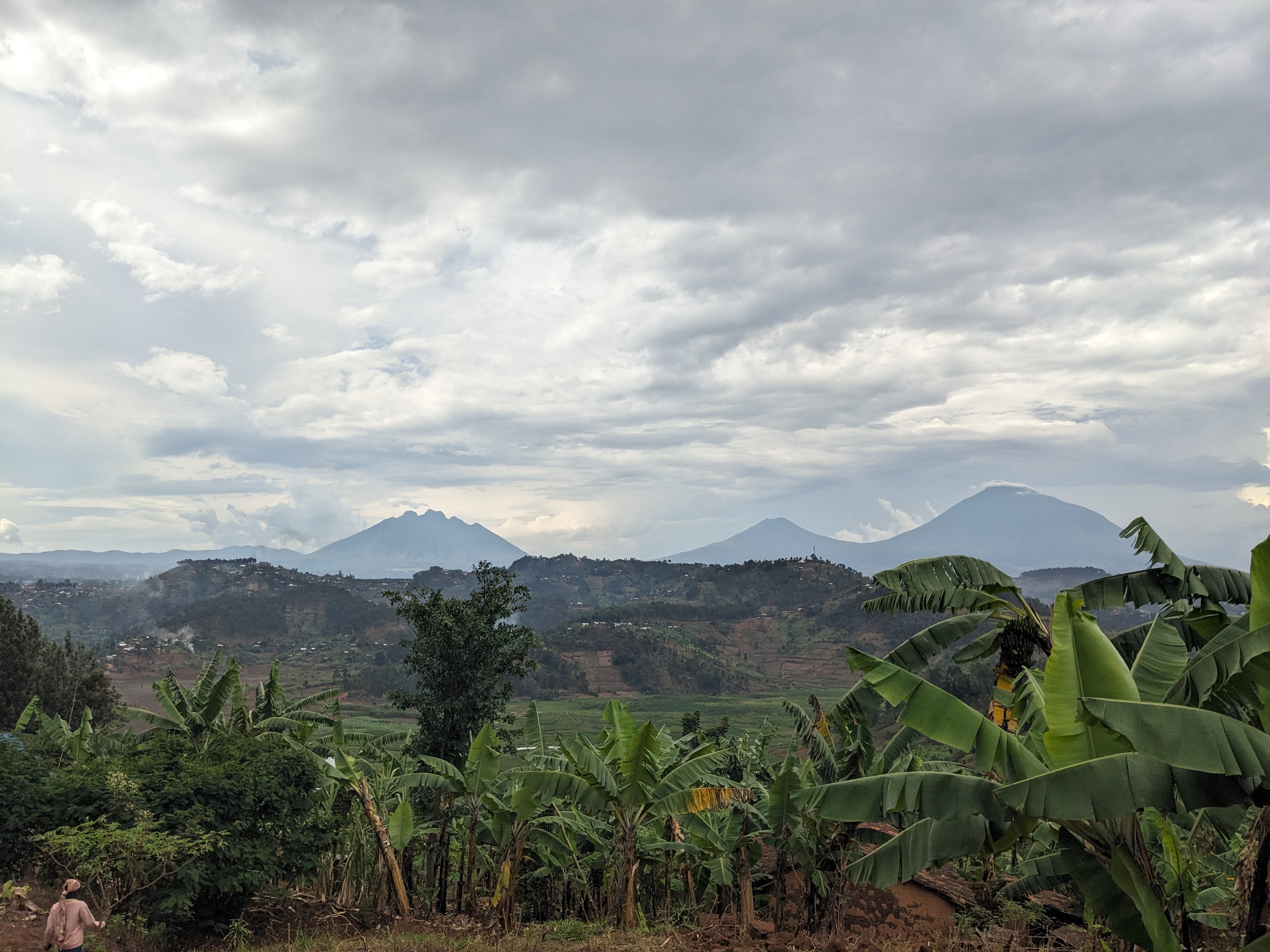 1 full day of Nature walk, village walk, birding and easy hiking